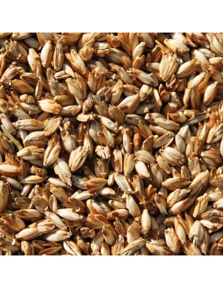 Écale d'épeautre, 1kg - Autres - MundoYoga Boutique de yoga spécialisée dans le yoga