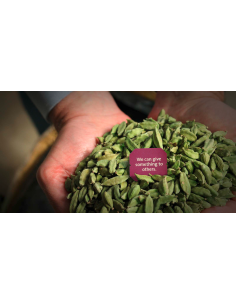 Set of 6 varieties of Yogitea - Yogi Tea infusions - MundoYoga Yoga Shop Specializing in Yoga 2