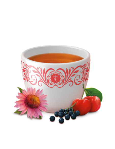 Yogitea Natürliche Abwehrkräfte - Yogi Tee Aufgüsse - MundoYoga Yoga Shop, spezialisiert auf Yoga