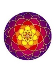 sticker surise lotus