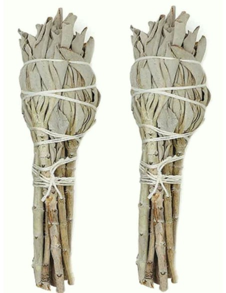 Weißer Salbei Bündel, 11-13cm - Räucherwerk für Rituale - MundoYoga Yoga Shop, spezialisiert auf Yoga Weißer Salbei Bündel, 11-13cm - Räucherwerk für Rituale - MundoYoga Yoga Shop, spezialisiert auf Yoga