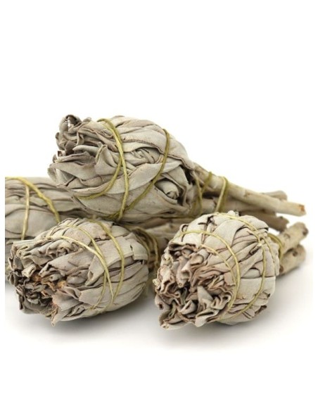 Weißer Salbei Bündel, 11-13cm - Räucherwerk für Rituale - MundoYoga Yoga Shop, spezialisiert auf Yoga Weißer Salbei Bündel, 11-13cm - Räucherwerk für Rituale - MundoYoga Yoga Shop, spezialisiert auf Yoga