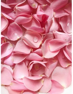 Désodorisant Smutge, sauge blanche et rose - Parfums - MundoYoga Boutique de yoga spécialisée dans le yoga 2