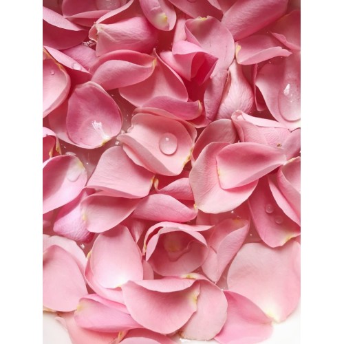 Ambientador Smutge, Sálvia Branca com Rosa - Fragrâncias - MundoYoga Loja de Yoga especializada em Yoga