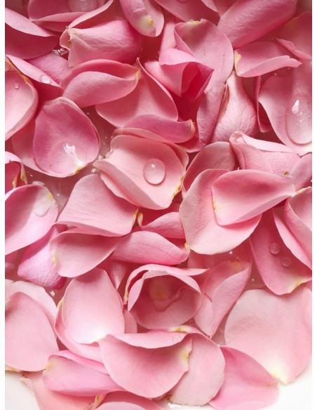 Smutge Air Freshener, White Sage with Rose - Smudge Spray - MundoYoga Yoga Shop Specializing in Yoga