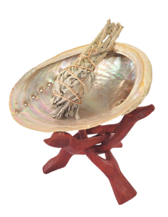 Abalone smudging shell, Haliotis diversicolor - Incense for Rituals - MundoYoga Yoga Shop Specializing in Yoga 2