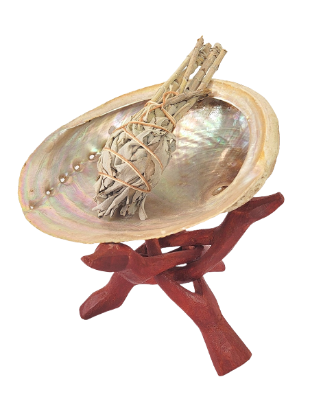 Abalone smudging shell, Haliotis diversicolor - Incense for Rituals - MundoYoga Yoga Shop Specializing in Yoga