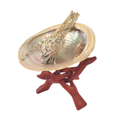 Conjunto de abalone para rituais de purificação - Incenso para Rituais - MundoYoga Loja de Yoga especializada em Yoga
