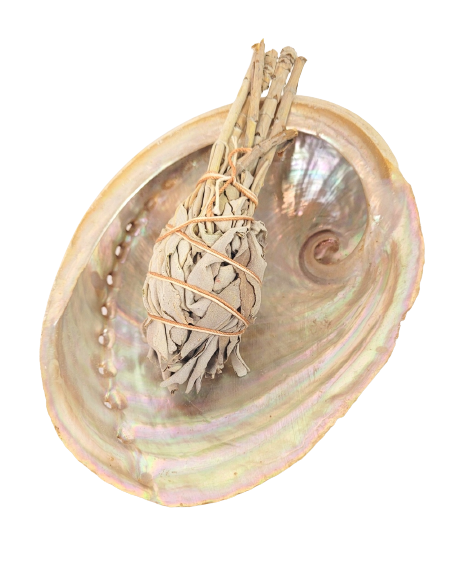 Set Abulón para ritual de purificación - Incienso para Rituales - MundoYoga Tienda Especializada en Yoga