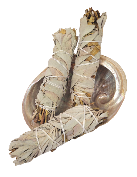 Set Abulón para ritual de purificación - Incienso para Rituales - MundoYoga Tienda Especializada en Yoga