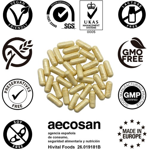 Complexo de vitaminas B - Suplementos Nutricionais - MundoYoga Loja de Yoga especializada em Yoga