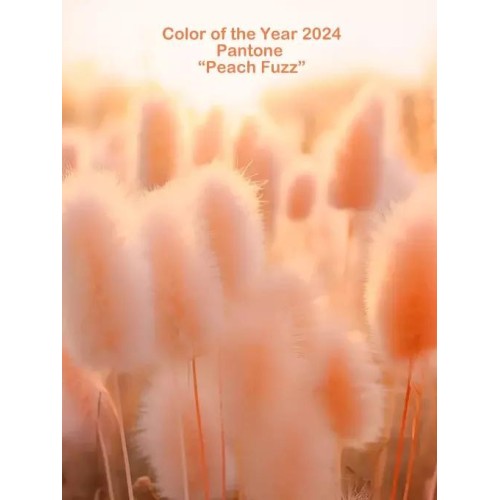 Columpio Aero Yoga - Champagne Rosé - Unicolor - MundoYoga Tienda Especializada en Yoga