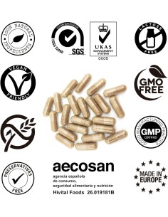 Complexe ménopause avec sauge, actée à grappes noires et houblon 2